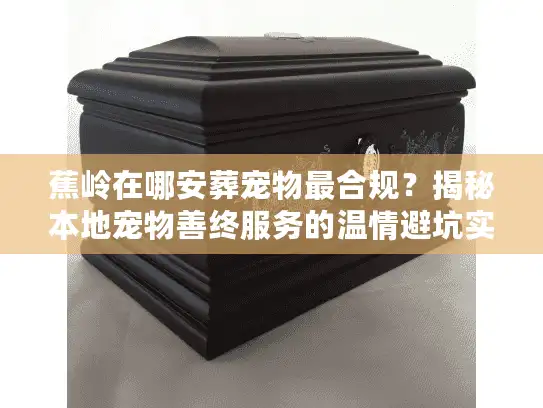 蕉岭在哪安葬宠物最合规？揭秘本地宠物善终服务的温情避坑实录
