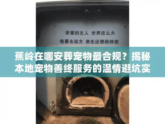 蕉岭在哪安葬宠物最合规？揭秘本地宠物善终服务的温情避坑实录