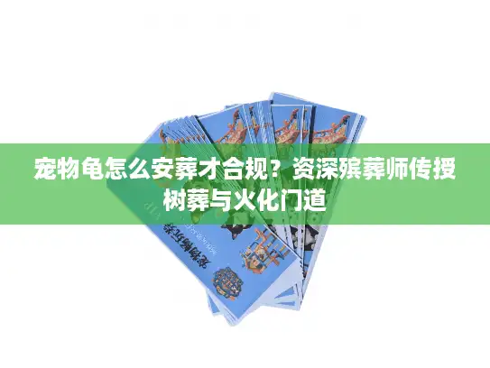 宠物龟怎么安葬才合规？资深殡葬师传授树葬与火化门道