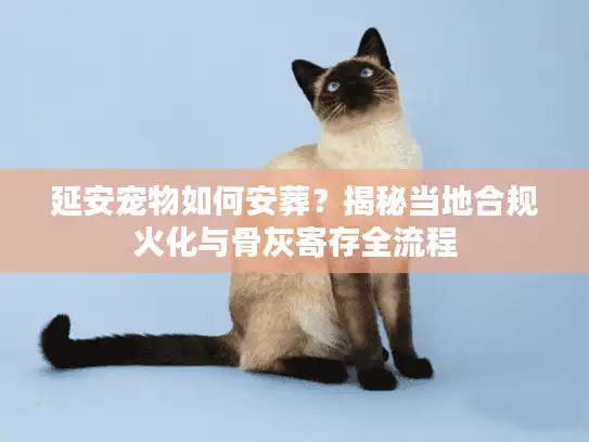 延安宠物如何安葬？揭秘当地合规火化与骨灰寄存全流程