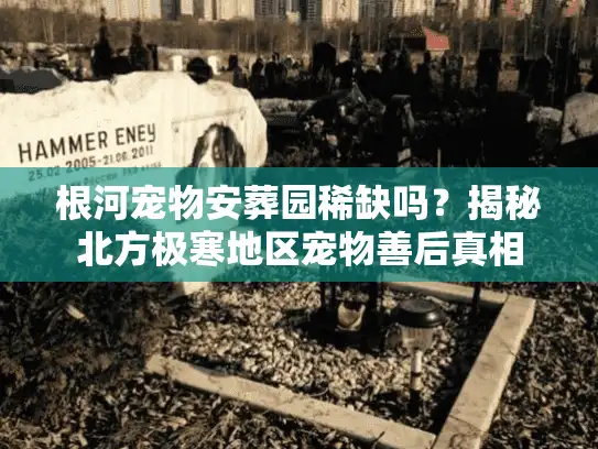 根河宠物安葬园稀缺吗？揭秘北方极寒地区宠物善后真相
