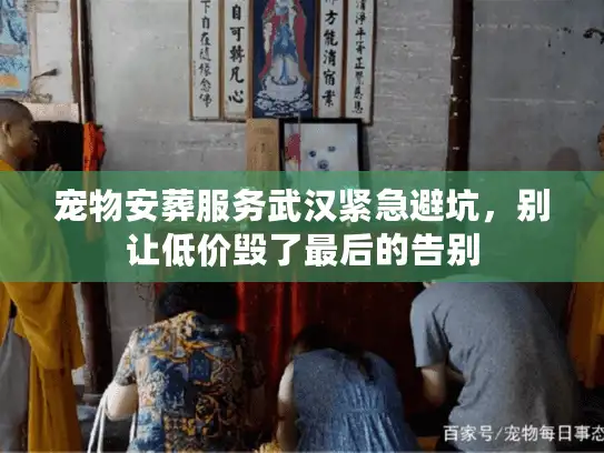 宠物安葬服务武汉紧急避坑，别让低价毁了最后的告别