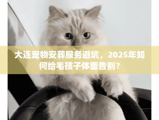 大连宠物安葬服务避坑，2025年如何给毛孩子体面告别？