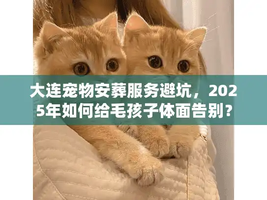 大连宠物安葬服务避坑，2025年如何给毛孩子体面告别？