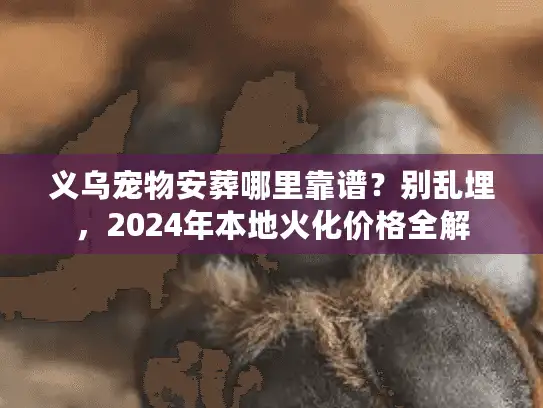 义乌宠物安葬哪里靠谱？别乱埋，2024年本地火化价格全解