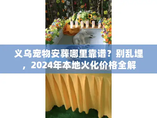 义乌宠物安葬哪里靠谱？别乱埋，2024年本地火化价格全解