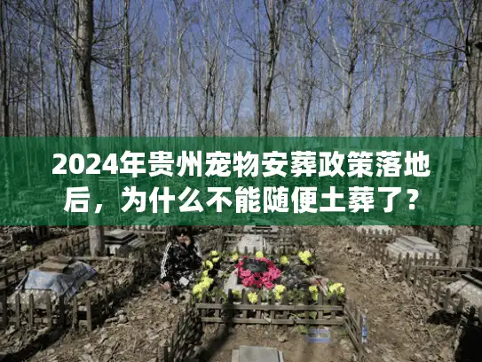2024年贵州宠物安葬政策落地后，为什么不能随便土葬了？
