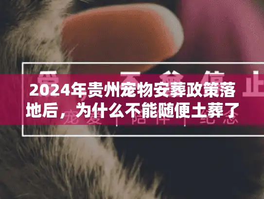 2024年贵州宠物安葬政策落地后，为什么不能随便土葬了？