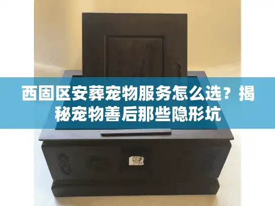 西固区安葬宠物服务怎么选？揭秘宠物善后那些隐形坑