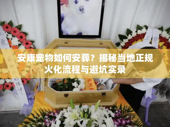 安康宠物如何安葬？揭秘当地正规火化流程与避坑实录