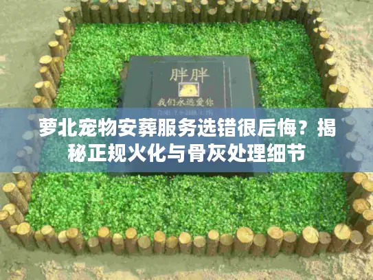 萝北宠物安葬服务选错很后悔？揭秘正规火化与骨灰处理细节