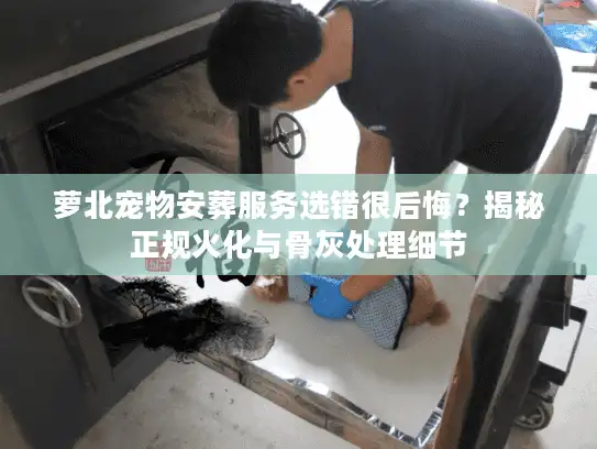 萝北宠物安葬服务选错很后悔？揭秘正规火化与骨灰处理细节