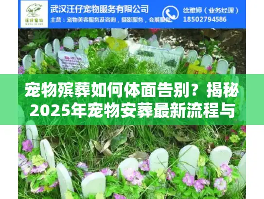 宠物殡葬如何体面告别？揭秘2025年宠物安葬最新流程与纪念方式