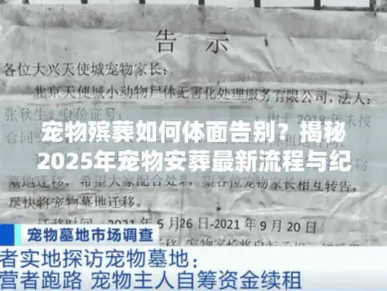 宠物殡葬如何体面告别？揭秘2025年宠物安葬最新流程与纪念方式