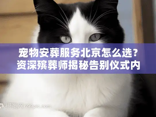 宠物安葬服务北京怎么选？资深殡葬师揭秘告别仪式内幕