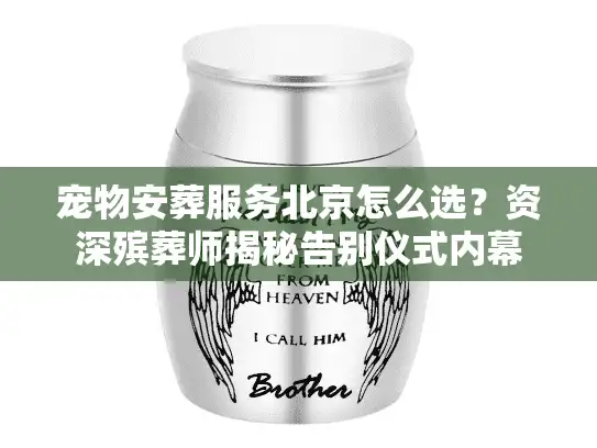 宠物安葬服务北京怎么选？资深殡葬师揭秘告别仪式内幕