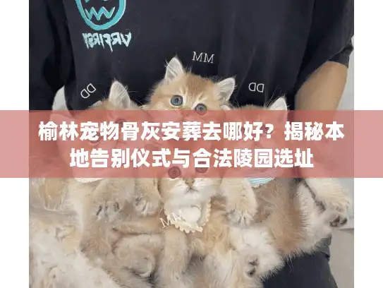 榆林宠物骨灰安葬去哪好？揭秘本地告别仪式与合法陵园选址