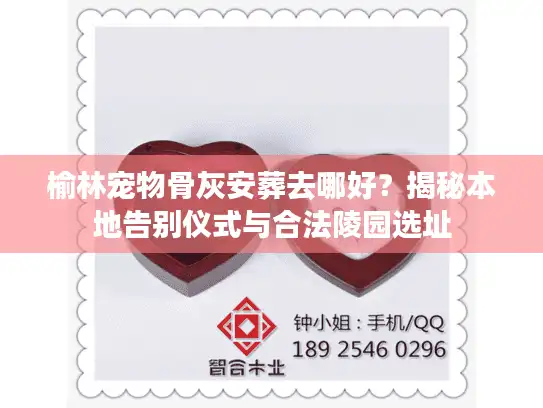 榆林宠物骨灰安葬去哪好？揭秘本地告别仪式与合法陵园选址