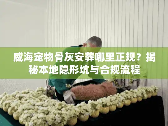 威海宠物骨灰安葬哪里正规？揭秘本地隐形坑与合规流程