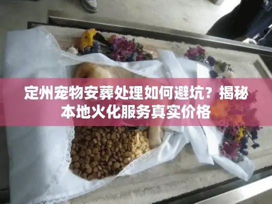 定州宠物安葬处理如何避坑？揭秘本地火化服务真实价格