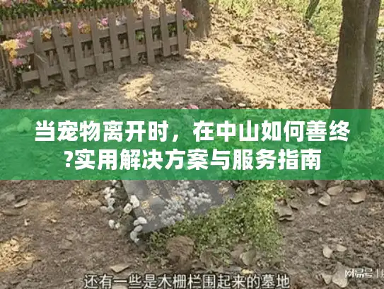 当宠物离开时，在中山如何善终?实用解决方案与服务指南