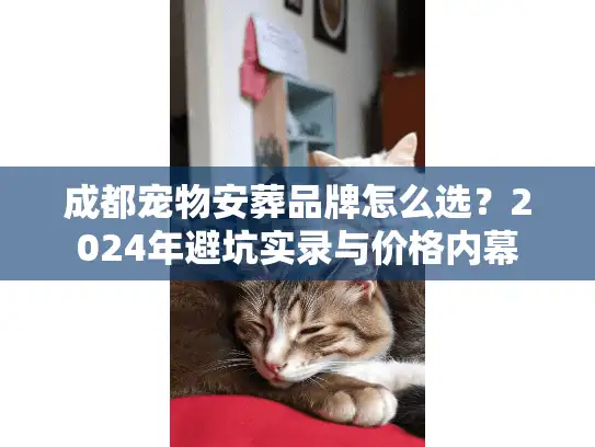成都宠物安葬品牌怎么选？2024年避坑实录与价格内幕