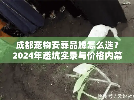 成都宠物安葬品牌怎么选？2024年避坑实录与价格内幕
