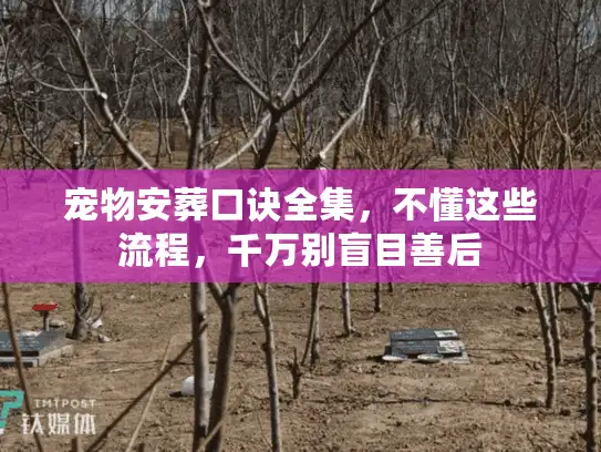 宠物安葬口诀全集，不懂这些流程，千万别盲目善后