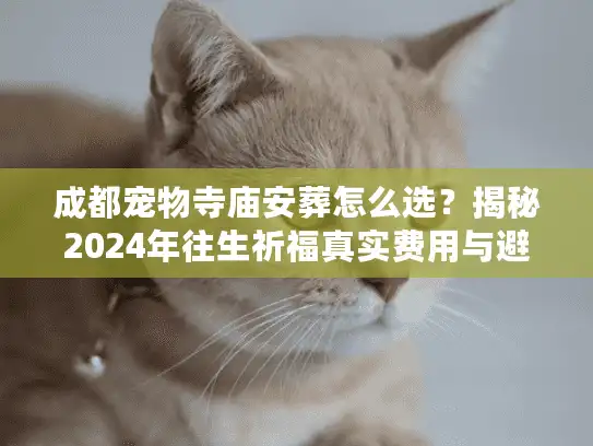 成都宠物寺庙安葬怎么选？揭秘2024年往生祈福真实费用与避坑门道