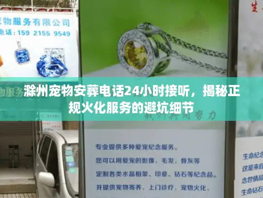 滁州宠物安葬电话24小时接听，揭秘正规火化服务的避坑细节