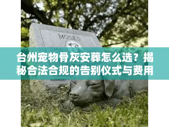 台州宠物骨灰安葬怎么选？揭秘合法合规的告别仪式与费用