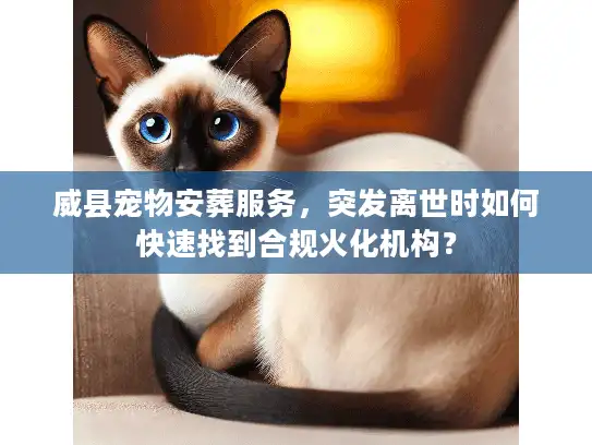 威县宠物安葬服务，突发离世时如何快速找到合规火化机构？