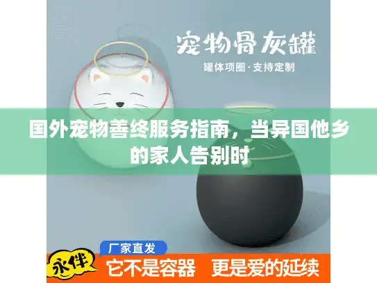 国外宠物善终服务指南，当异国他乡的家人告别时