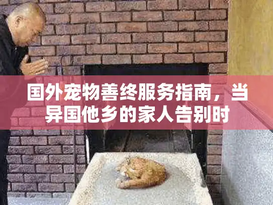 国外宠物善终服务指南，当异国他乡的家人告别时