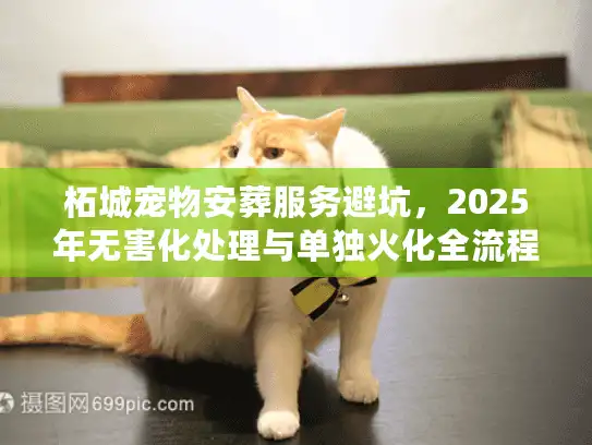 柘城宠物安葬服务避坑，2025年无害化处理与单独火化全流程
