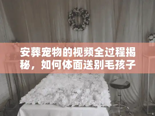 安葬宠物的视频全过程揭秘，如何体面送别毛孩子？