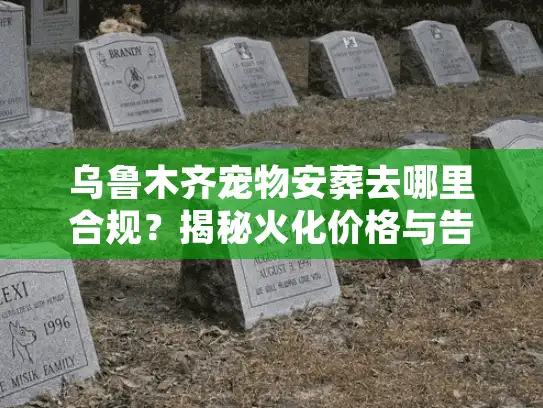 乌鲁木齐宠物安葬去哪里合规？揭秘火化价格与告别仪式全流程