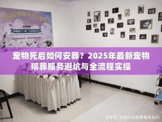 宠物死后如何安葬？2025年最新宠物殡葬服务避坑与全流程实操