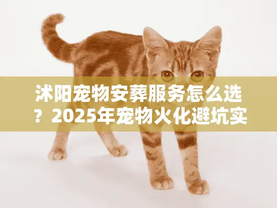 沭阳宠物安葬服务怎么选？2025年宠物火化避坑实录与价格内幕