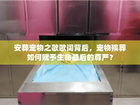 安葬宠物之歌歌词背后，宠物殡葬如何赋予生命最后的尊严？