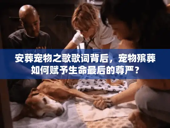 安葬宠物之歌歌词背后，宠物殡葬如何赋予生命最后的尊严？