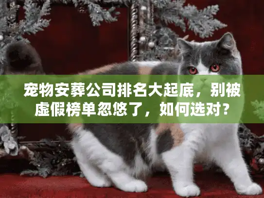 宠物安葬公司排名大起底，别被虚假榜单忽悠了，如何选对？