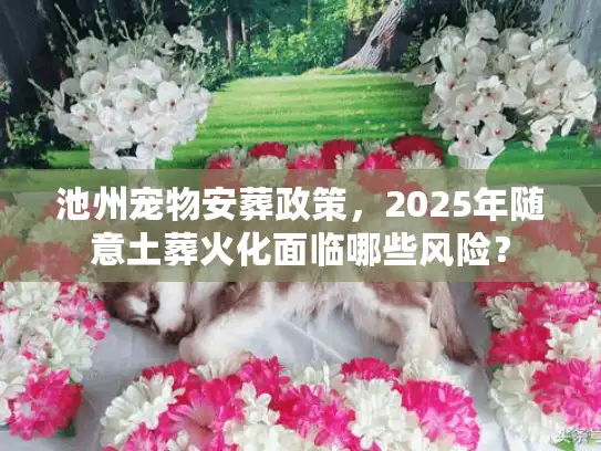 池州宠物安葬政策，2025年随意土葬火化面临哪些风险？