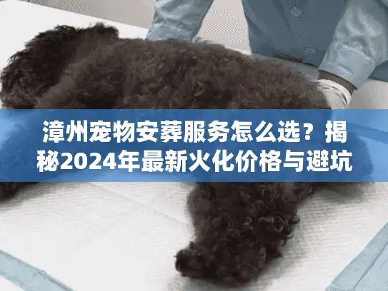 漳州宠物安葬服务怎么选？揭秘2024年最新火化价格与避坑门道