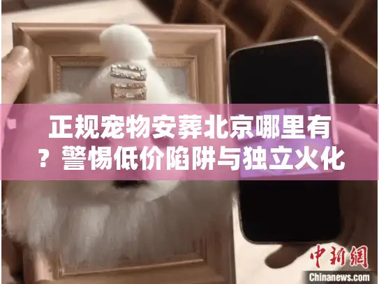 正规宠物安葬北京哪里有？警惕低价陷阱与独立火化真相