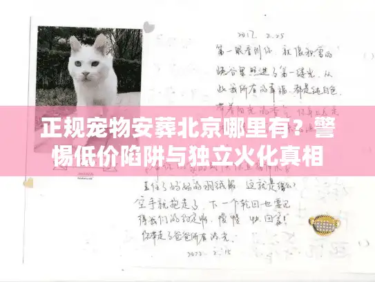 正规宠物安葬北京哪里有？警惕低价陷阱与独立火化真相