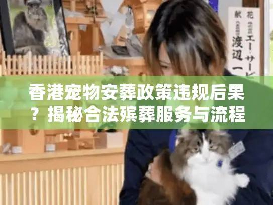 香港宠物安葬政策违规后果？揭秘合法殡葬服务与流程