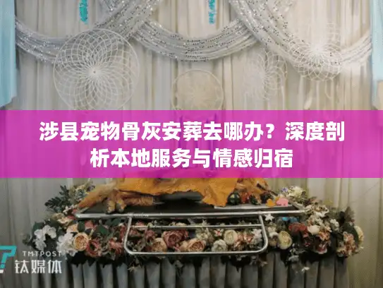 涉县宠物骨灰安葬去哪办？深度剖析本地服务与情感归宿