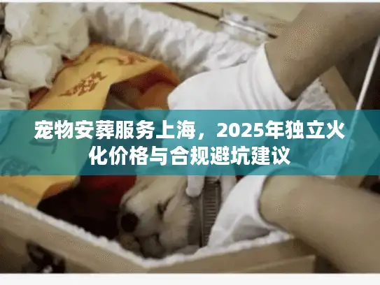 宠物安葬服务上海，2025年独立火化价格与合规避坑建议