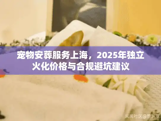 宠物安葬服务上海，2025年独立火化价格与合规避坑建议